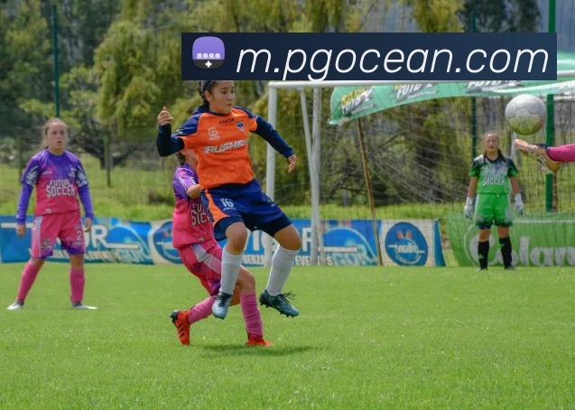 App Interface Preview